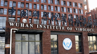 ¿En qué se fundamenta la hipótesis que dice que la pandemia se originó en un laboratorio?