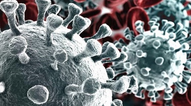 ¿La capacidad de evolucionar del virus tiene límite?