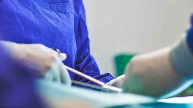 WSAVA creó el Comité de Control de la Reproducción