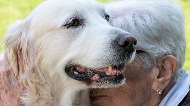 WSAVA promoverá el vínculo humano-animal