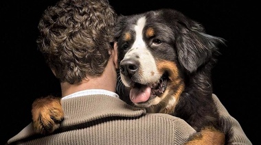 Los perros nacen biológicamente preparados para interactuar con los humanos