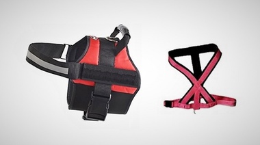 Paseos más seguros con arneses especiales para la mascota