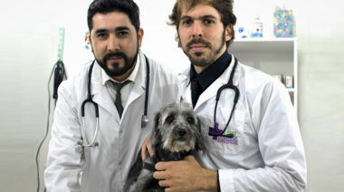 Feocromocitoma canino: “Un tumor adrenal pobremente diagnosticado”