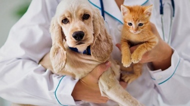 Cuidar la salud de los animales es cuidar la salud de las personas