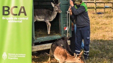 Trasladaron 16 animales a un santuario natural en Entre Ríos