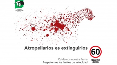 Instalan carteles de concientización para evitar el atropellamiento de fauna