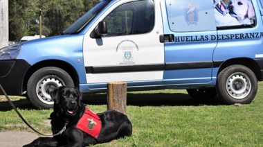 Convocatoria de solicitud de perros para realizar tareas de asistencia