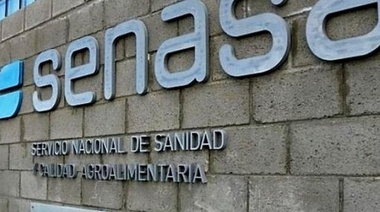 Informe técnico N° 1 de la DNSA del Senasa sobre Herpes Virus Equino 1 (HVE-1)