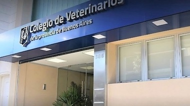 La ordenanza sancionada en La Plata "es intolerable y agraviante para la profesión veterinaria"