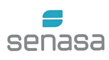 Informe técnico N° 2 de la DNSA del SENASA sobre Herpes Virus Equino 1 (HVE-1)