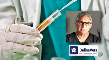 EL EXAMEN DE ORINA (Última Parte)