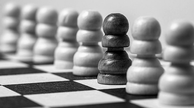 Todo veterinario puede ser un líder