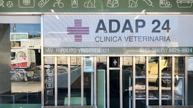 Cliente golpea a un veterinario en Morón hasta dejarlo inconsciente con politraumatismo de cráneo