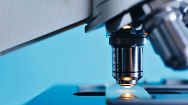 La UNLP es líder en Argentina y la región por el prestigio de su comunidad científica