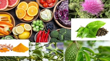 Nutrición y uso de complementos dietarios para el paciente con cáncer