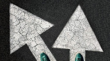 Dilemas éticos y morales en la práctica veterinaria