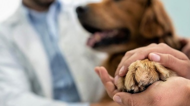 La comunicación como componente fundamental para una práctica exitosa