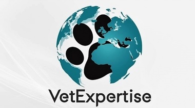 VetExpertise: Nueva empresa de Teleconsultoría Especializada y Telemedicina Veterinaria