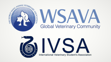 WSAVA busca estudiantes de veterinaria para integrar sus comités