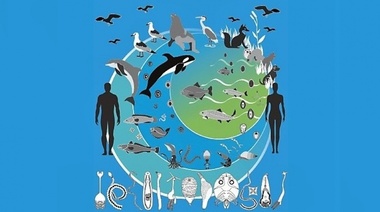 "Parásitos en Peces Argentinos de Importancia Comercial"