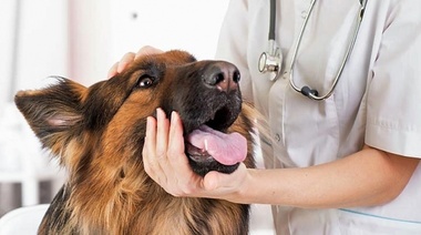 "La Clínica es Soberana"