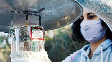 Buscan detectar las zonas de Córdoba con mayor temperatura y diversidad de mosquitos