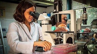 Logran aislar un virus causante de una grave enfermedad neurológica en equinos