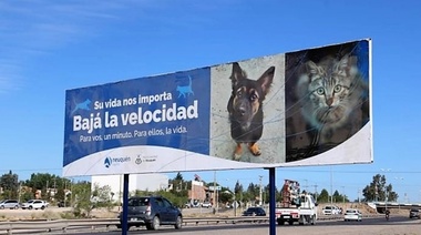 Instalan cartel vial para preservar a los animales de compañía