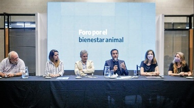 El Ministerio de Ambiente dio inicio al primero de los debates sobre el bienestar animal