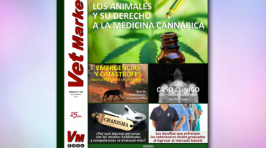 Cannabis / Catástrofes / Caso clínico / Mercado laboral / Marketing