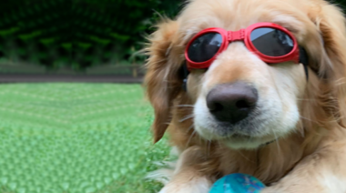 Las Gafas protectoras de Per-Ros salud para este verano
