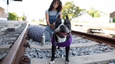 Las musculosas de Per-Ros con más onda para este verano