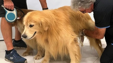 ¿Cuál es su diagnóstico?