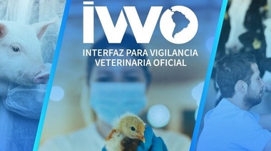 IVVO: Nueva plataforma sobre vigilancia veterinaria de enfermedades animales