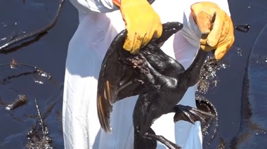 El gobierno de Perú declaró la emergencia ambiental tras el derrame de petróleo en las costas de Lima