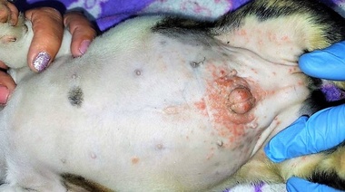 ¿Cuál es tu diagnóstico?