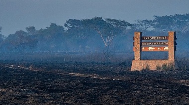 El fuego alcanzó el Portal Yerbalito donde se trabaja en la reintroducción de especies