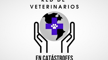 Nuevos comunicados de la Red de Veterinarios en Catástrofes