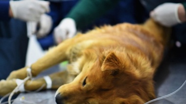 Urgencias 24 horas: Un servicio cada vez más demandado