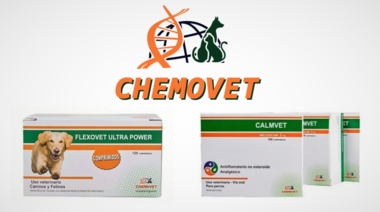 Chemovet presenta un nuevo tratamiento multimodal para la osteoartritis en perros y gatos