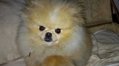 ¿Cuál es tu diagnóstico?