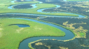 Más del 25% de todas las plantas y animales de los humedales están en peligro de extinción