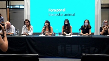 Se realizará un nuevo encuentro del Foro Federal de Bienestar Animal