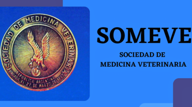 SOMEVE celebra su 125° Aniversario