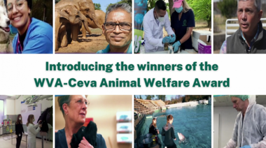 Se conocieron los ganadores de los Premios Mundiales de Bienestar Animal 2021