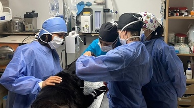 Aprendizaje en contextos laborales reales