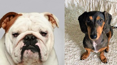 ¿Cuál es tu diagnóstico?