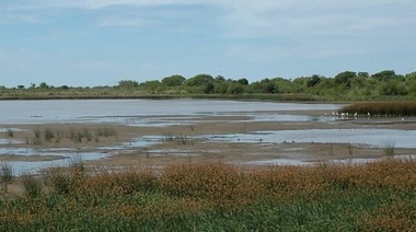 Misiones es la primera provincia en tener Ley de Humedales