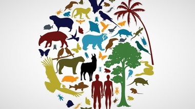 "Construir un futuro compartido para toda la vida en la Tierra"