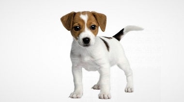 ¿Cuál es tu diagnóstico?